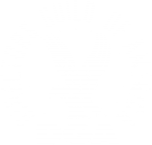 Directors Guild of America